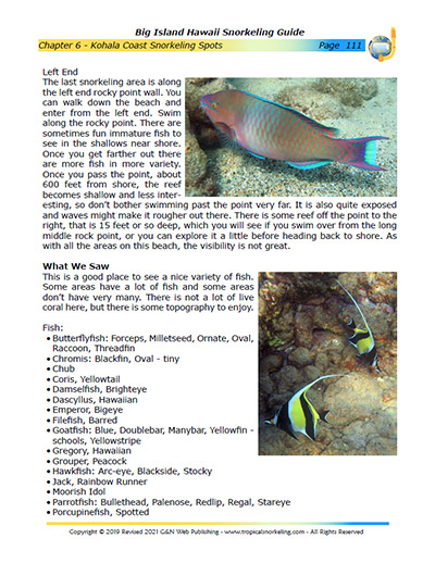 Big Island Hawaii Snorkeling Guide eBook Sample Page 5