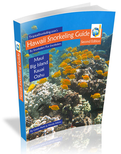 Hawaii Snorkeling Guide eBook Cover