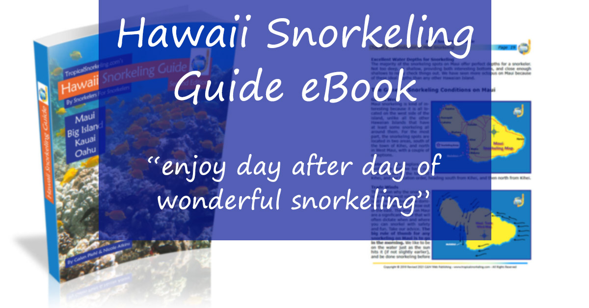 Hawaii Snorkeling Guide EBook