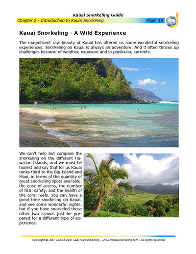 Kauai Snorkeling Guide eBook Sample Page 1
