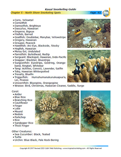 Kauai Snorkeling Guide eBook Sample Page 6
