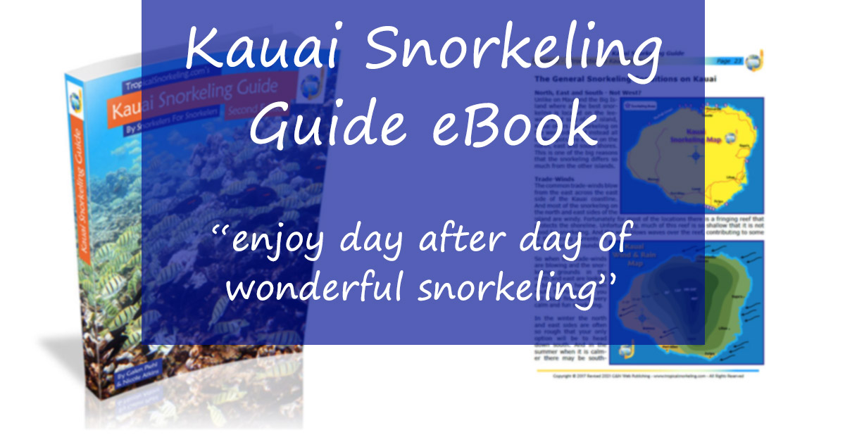 Kauai Snorkeling Guide EBook