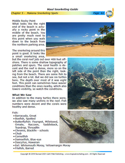 Maui Snorkeling Guide eBook Sample Page 4