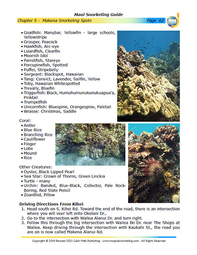 Maui Snorkeling Guide eBook Sample Page 5
