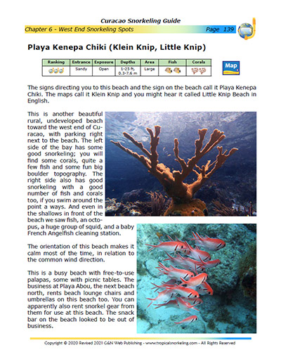 Curacao Snorkeling Guide eBook Sample Page 2