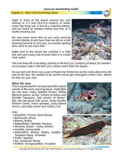 Curacao Snorkeling Guide eBook Sample Page 4