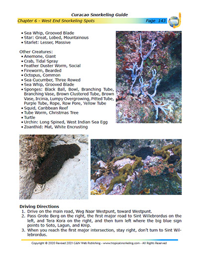 Curacao Snorkeling Guide eBook Sample Page 6