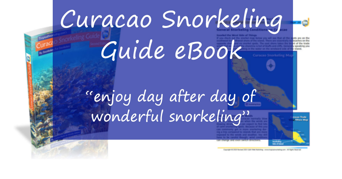 Curacao Snorkeling Guide EBook