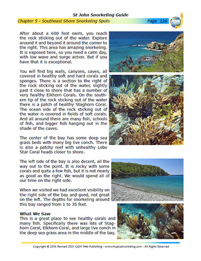 St John Snorkeling Guide eBook Sample Page 3