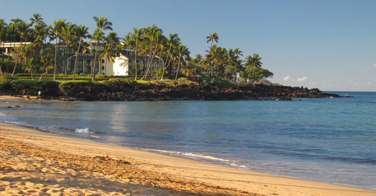 Where To Stay For The Easiest Access To Maui Snorkeling