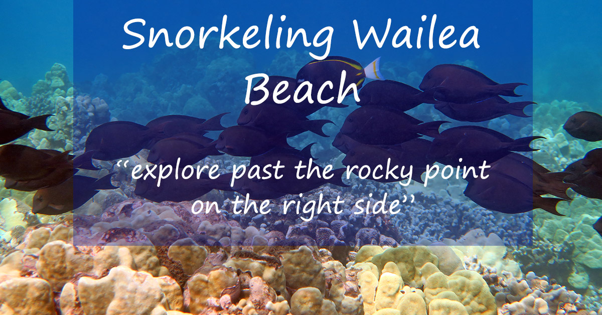 Snorkeling Wailea Beach Swim To The Right, Expect Crowds