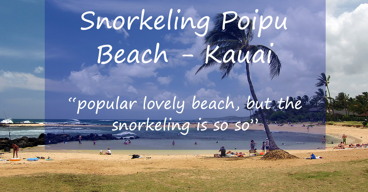 Snorkeling Poipu Beach Park Is Decent, Busy & At A Lovely Beach