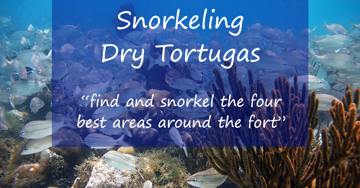 Snorkeling Dry Tortugas National Park Best Near Key West