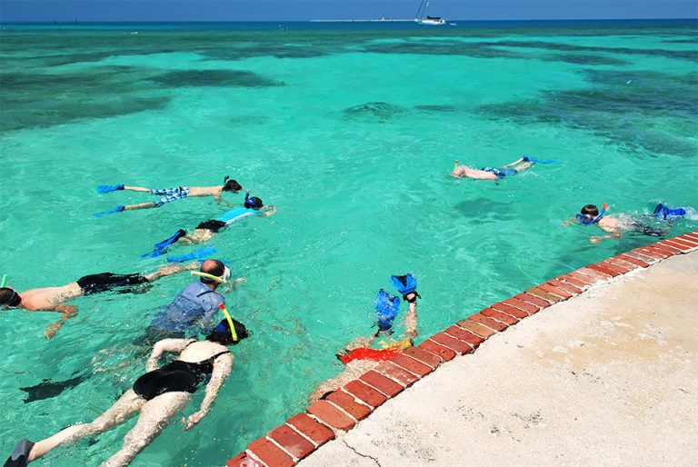 Snorkeling Dry Tortugas National Park Best Near Key West