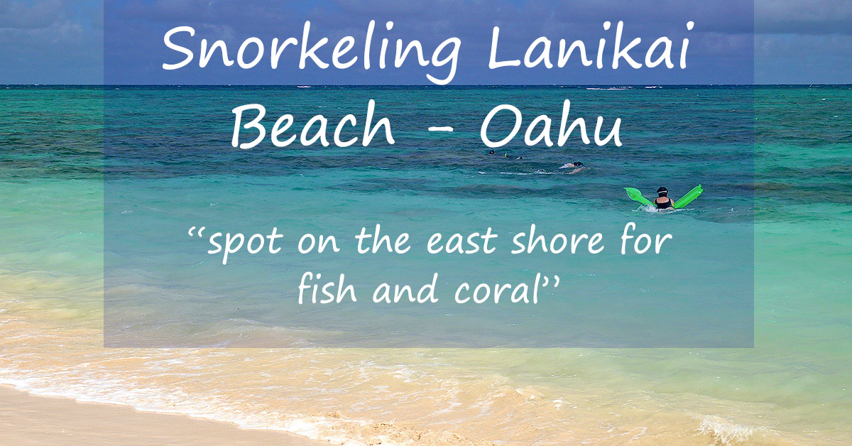 Snorkeling Lanikai Beach Coral And Fish In Low Visibility