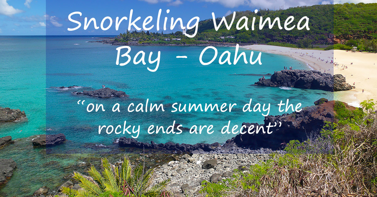 Snorkeling Waimea Bay Calm Summer Conditions Required