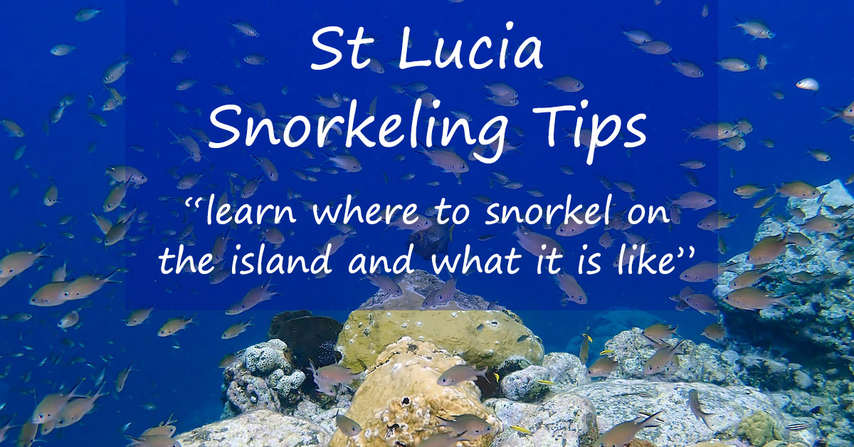 St Lucia Snorkeling - By Beach And Boat On The Leeward Side