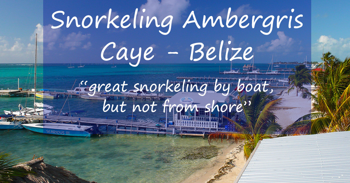 Ambergris Caye Snorkeling Close Access To The Barrier Reef