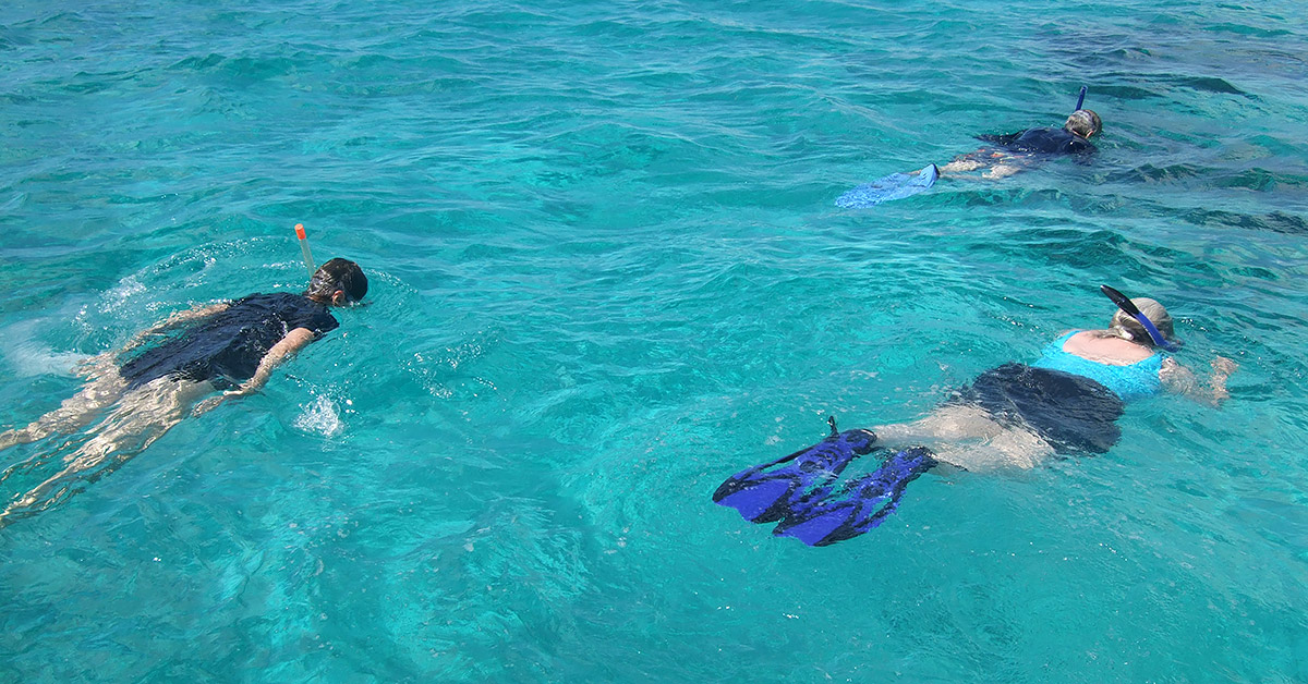 Snorkeling Mexico Rocks Very Nice Patch Reef See Pics