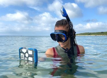 Use Your IPhone Snorkeling To Get Good Pictures And Videos