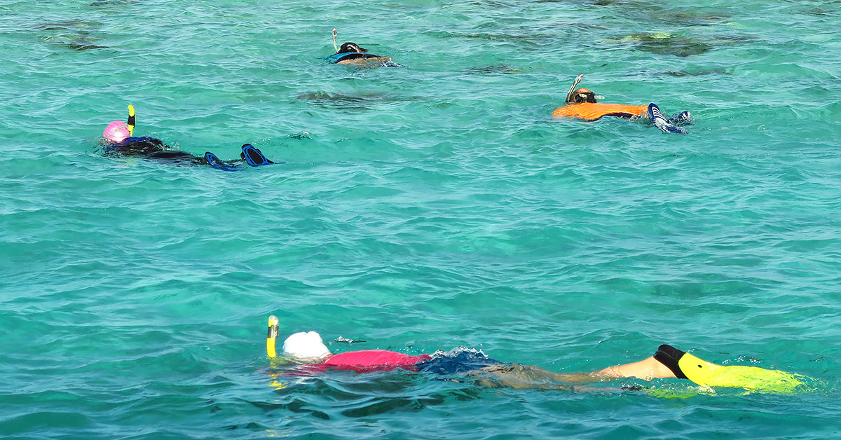 Snorkeling Tips Learn To Snorkel Safely And With Ease