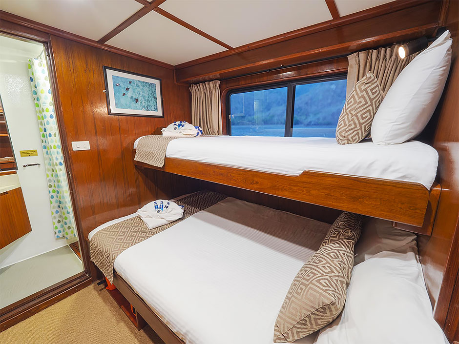 Mermaid II deluxe cabin with bunk bed configuration