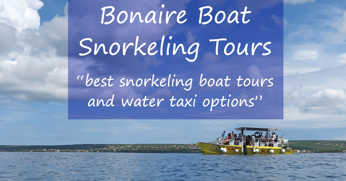 Bonaire Boat Snorkeling Tour Best Klein Bonaire Options
