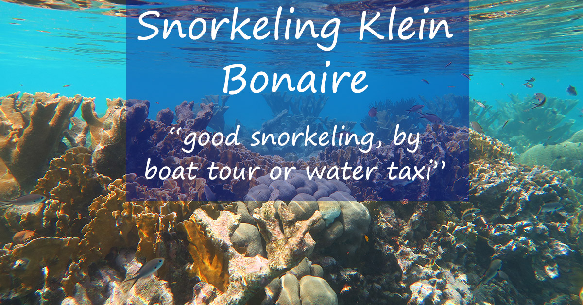 Snorkeling Klein Bonaire Good Snorkeling By Boat Or Taxi