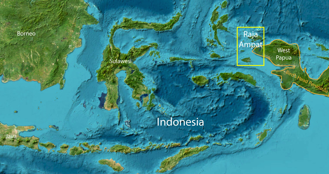 Raja Ampat Snorkeling Is In Our Experience The Best On Earth