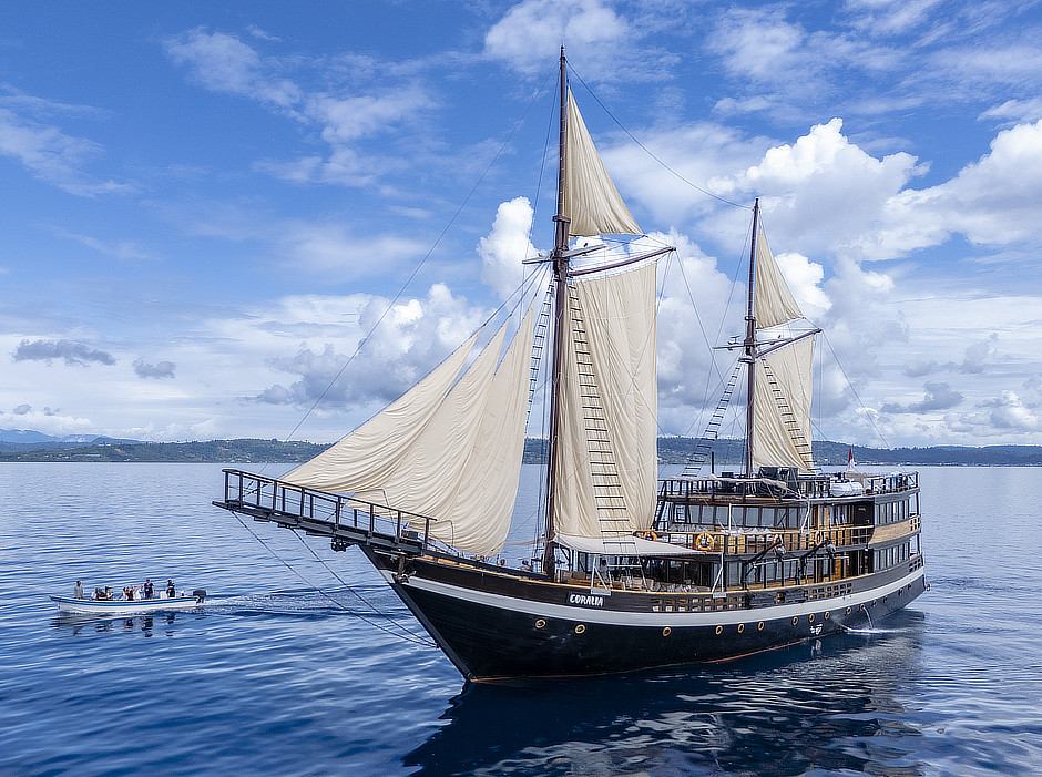Coralia Liveaboard with sails up