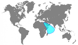 World map with Red Sea and Indian Ocean highlighted