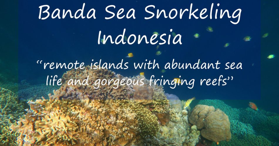 Finger coral reef and fish with words over: "Banda Sea Snorkeling Indonesia - remote islands with abundant sea life and gorgeous fringing reefs"