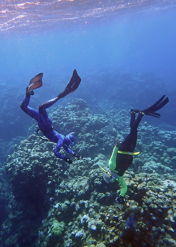 Two snorkelers freediving down to a reef