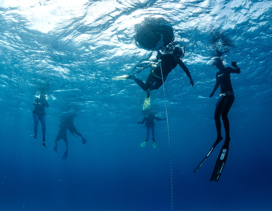 Nicole freediving training