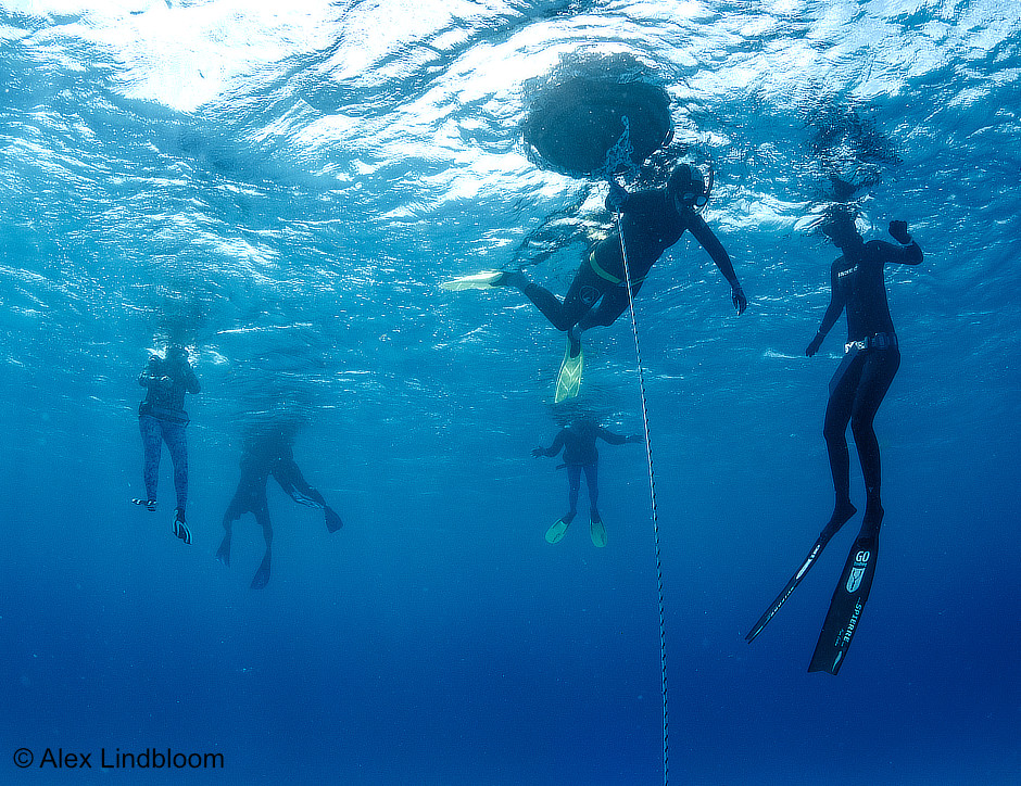 Nicole learning to Freediving on a line