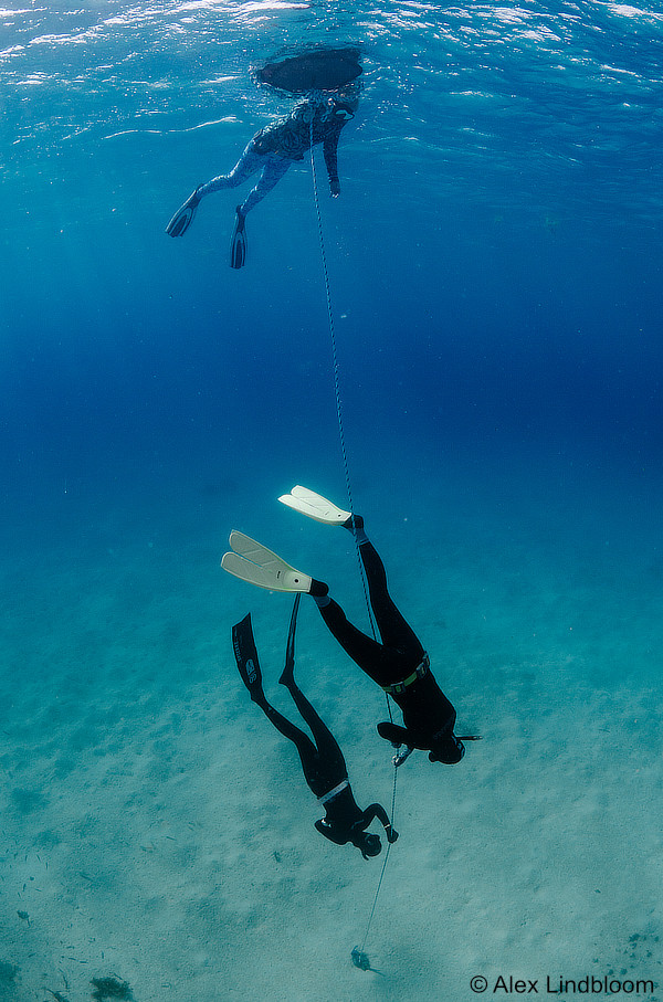 Nicole pulling down a Freediving line practicing her equalization and relaxation techniques