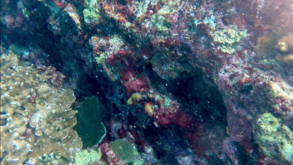 Colorful wall in West Bali