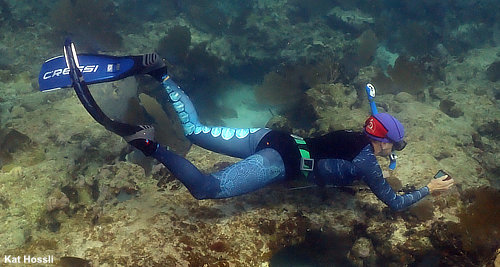 Snorkeler wearing Cressi Gara Modular Sprint Fins