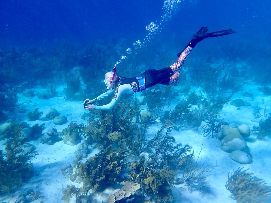 A freediving snorkeler in Bonaire