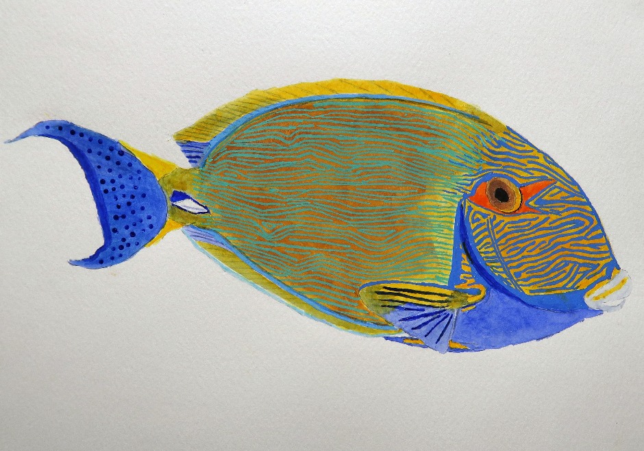 Whitespine Surgeonfish Watercolor Painting
